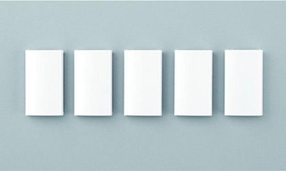 Ritto 1269691 button bar for 1575272 (5 pieces)