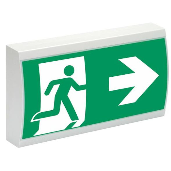 CEAG emergency light SV Euro 1-1/D LED LED emergency light