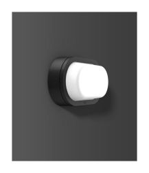 RZB 582061.0031 Alu-Lux oval 8W 430lm 830 anthracite LED wall / ceiling light