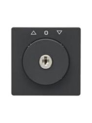 Berker 1083608600 key Abd blind anth with arrows