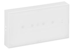 Legrand 662640 safety light URAONE 100LM 3STD BD AAT IP42