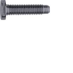 Elcom REH124Y Special ZY M5x25 Anthracite Screw
