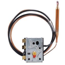 JUMO 60002994 602031/80-000-100-00-2000-40-10-6-40-13- Safety temperature limiter