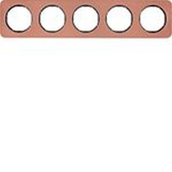 Berker MAN0107417 frame 5-way R.1 copper/black