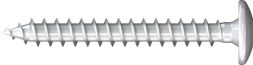 Reisser 009258S297-0600452-1 KBS small fitting screw, half-round head, TX, VG, 6.0 X 45, steel, Rusp.sil, 3x Chr.VIfr., packed 100 a