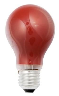 Scharnberger &amp;amp; Hasenbein 40245 B 60x105mm E27 230V 25W red light bulb