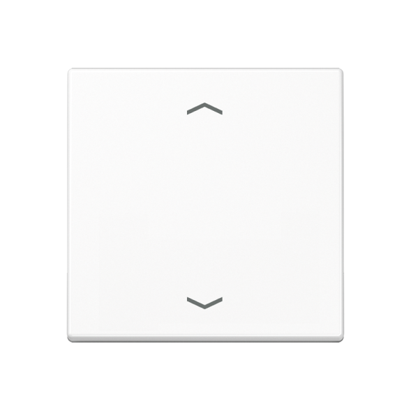 Jung A1700PWW LB-Management button 1-way, with arrow symbols, Duroplast, Series A, alpine white