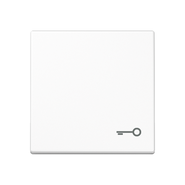 Jung A590TWW rocker switch, symbol door, Duroplast, Series A, alpine white