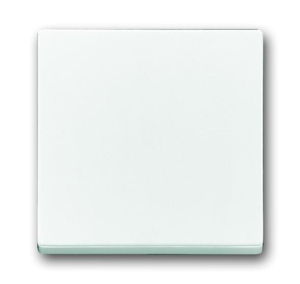 Busch-Jaeger 1786-84 rocker studio white