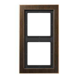 Jung MED2982AT frame 2-way, vertical and horizontal mounting, brass, LS-DESIGN, antique brass