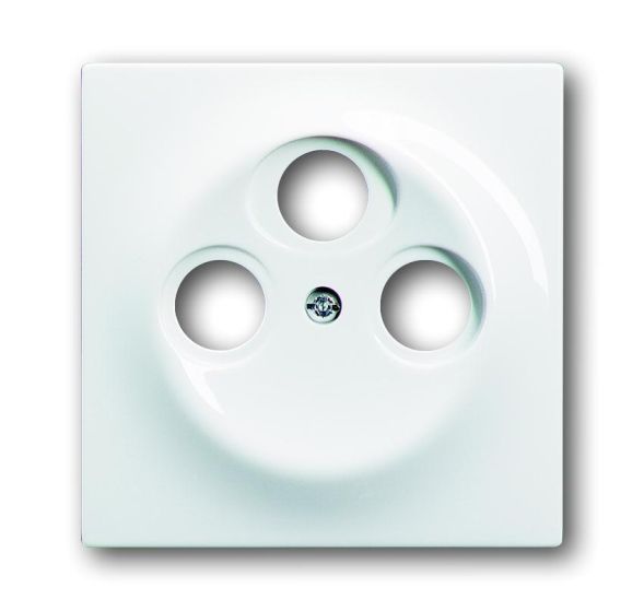 Busch-Jaeger 1743-03-74 Central plate, as cover for standard antenna sockets, alpine white