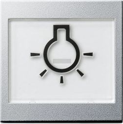 Gira 021626 rocker switch touch-sensitive BSF symbol light system 55 color aluminum