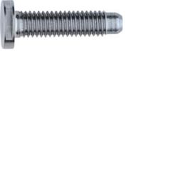 Elcom REH125Y Special ZY M5x25 PVD Chrome Screw