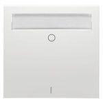 Hochköpper 00317051 2-pole aluminum label field rocker