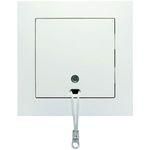 Hochköpper 00320151 UP alu pull changeover switch