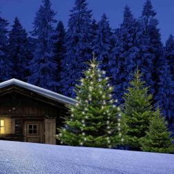 FHS 31671 tree curtain, 15Str.j.32LED 480LED,Str.3.2m,IP44,mT