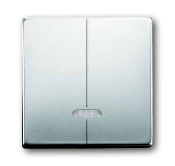 Busch-Jaeger 6545-866 control element, with glow lamp stainless steel