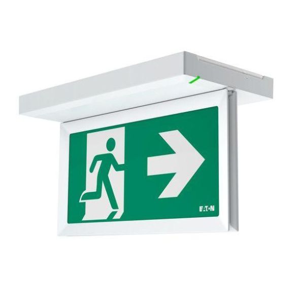 CEAG emergency light FlexiTech ED AT 8h LED emergency light