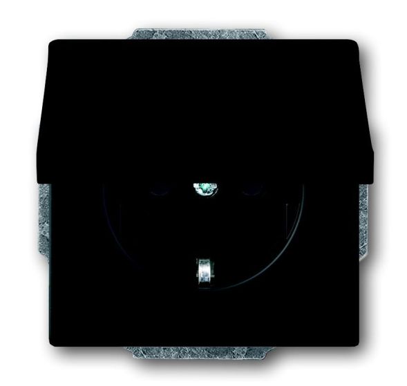 Busch-Jaeger 20 EUK-885 SCHUKO® socket insert, with hinged cover, matt black