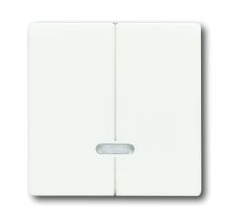 Busch-Jaeger 6545-884 control element, with glow lamp studio white matt