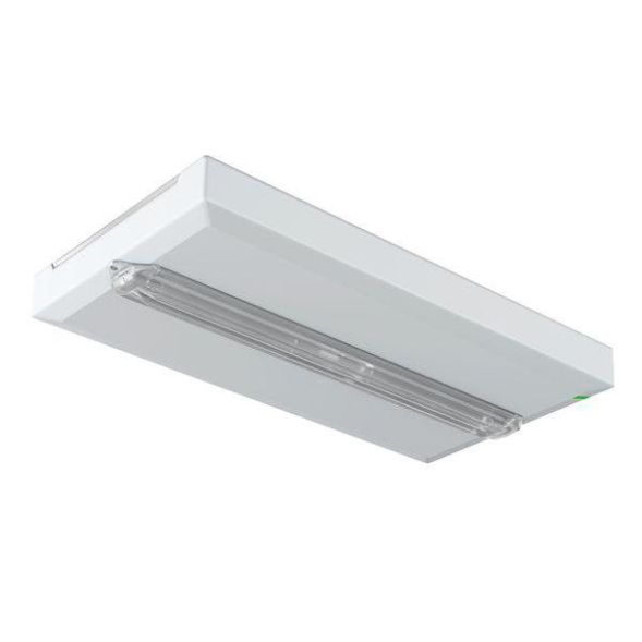 CEAG emergency light FlexiTech SE AT 8h LED emergency light