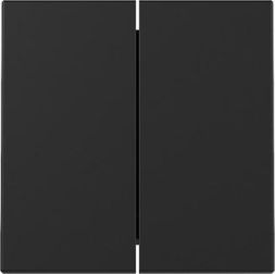 Gira 3295005 2f Sys.55 sw with rocker