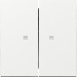 Gira 363103 2f control f.Sys.55 rws rocker