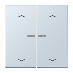 Jung BTLC17102P209 JUNG HOME button 2-way, with arrow symbols, LS series, outremer pale