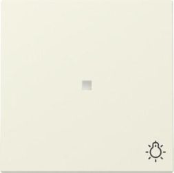 Gira 367401 control + symbol light Sys.55 cws rocker