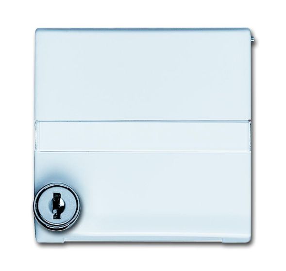 Busch-Jaeger 2118 GKSLN/11-32 intermediate ring with hinged lid, lockable, same locking white