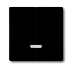 Busch-Jaeger 6545-885 control element, with glow lamp, matt black