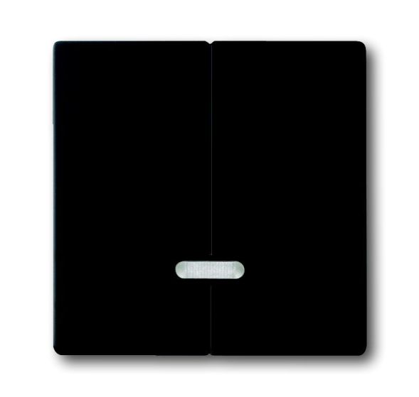 Busch-Jaeger 6545-885 control element, with glow lamp, matt black