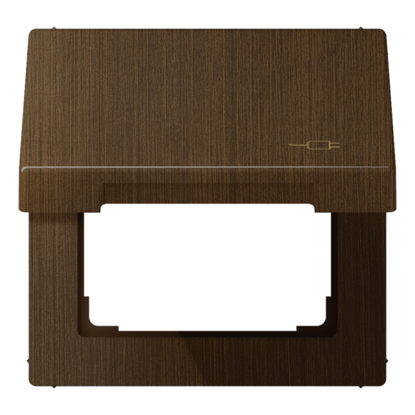 Jung ME2990KLSOCAT hinged cover with return spring, with symbol plug, brass, LS series, antique brass