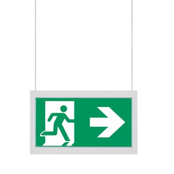 CEAG emergency light two-sided PL/PR 20m for GuideLed 10x25 LED pictogram disc