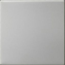 Gira 5372600 1f unprinted Sys 55 es rocker