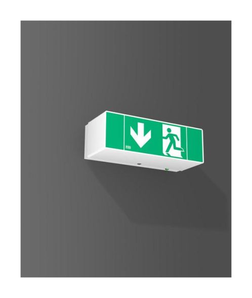 RZB 672188.002.07 2x1,1W 230x103x76 Dali Bus LED emergency light