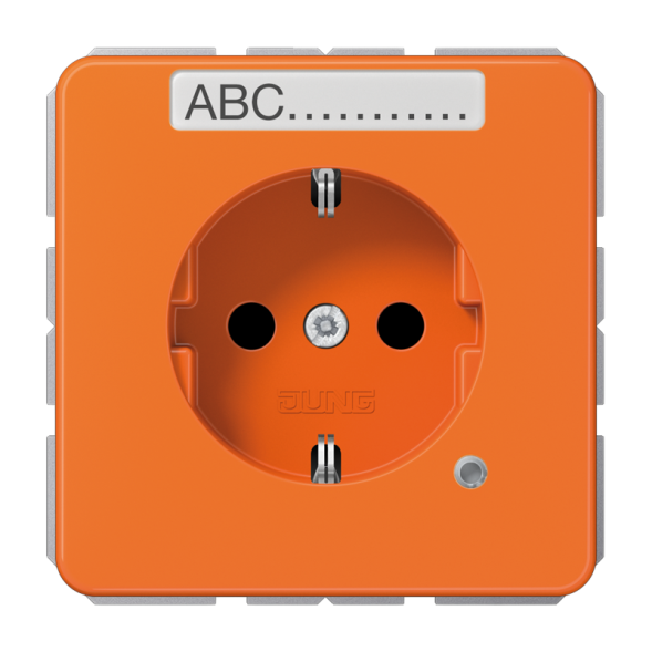 Jung CD1520BFNAKOO SCHUKO socket, 16 A 250 V ~, without claws, with function display, with label field, integrated increased contact protection, SAFETY+, thermoplastic, Ser
