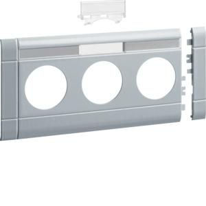 TEHALIT GB10031LAN modular panel 3-way plug-in label BRH 100mm