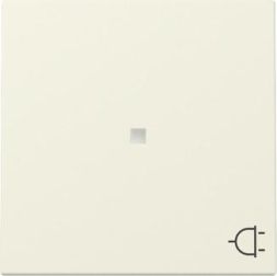 Gira 329101 control + symbol socket Sys.55 cws rocker