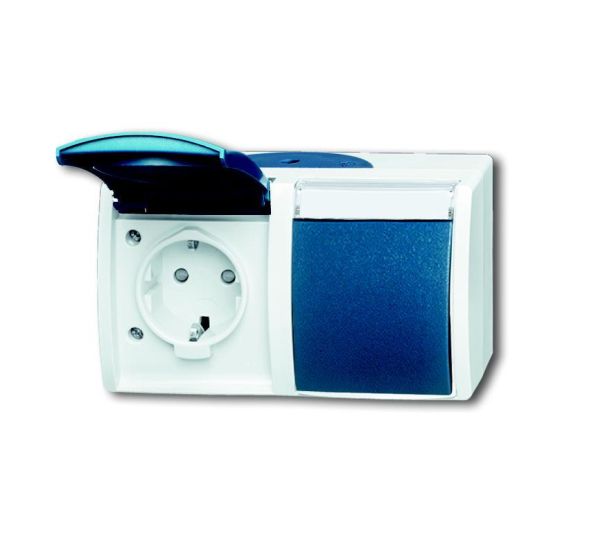 Busch-Jaeger 20/2 EBW-53 SCHUKO® socket, with increased contact protection grey/blue-green