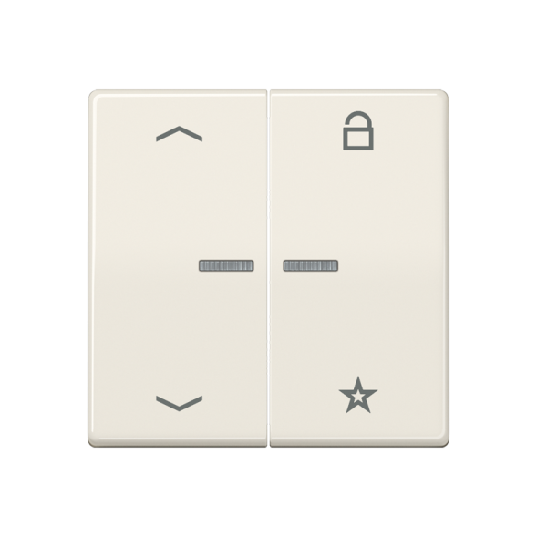 Jung FMAS1701P eNet radio control button