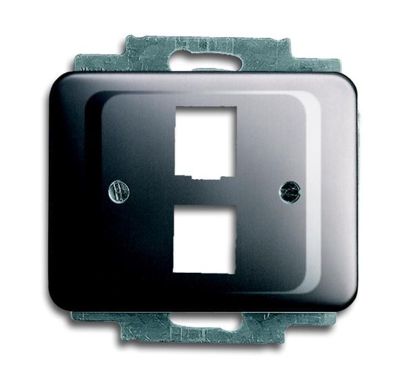 Busch-Jaeger 2561-02-20 Central plate, with support ring platinum