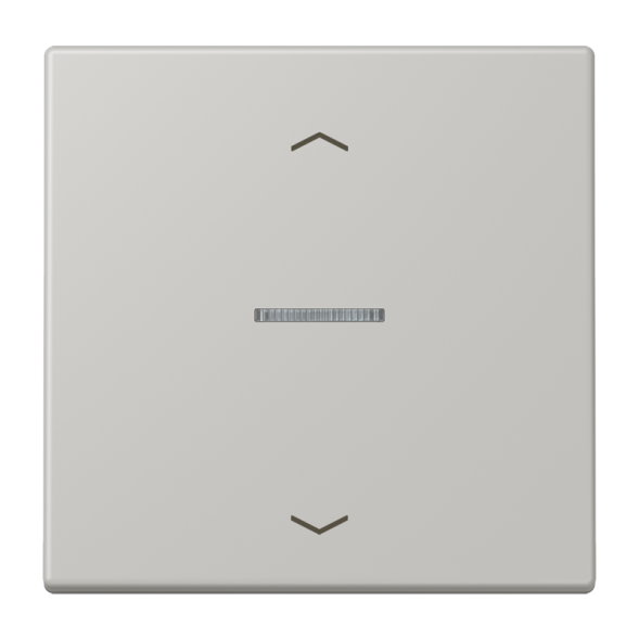 Jung LC101KO5P205 rocker with light guide, with arrow symbols for 1-way button, LS series, gris clair 31