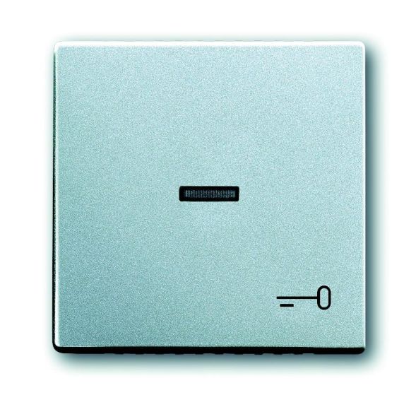 Busch-Jaeger 1789 TR-83 rocker with print, with small transparent dome aluminum silver