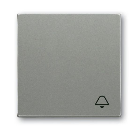 Busch-Jaeger 2520 KI-803 rocker with print grey metallic