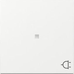 Gira 329103 control + symbol socket Sys.55 rws rocker