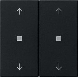 Gira 5386005 2f arrows control f. Sys 55 sw with rocker