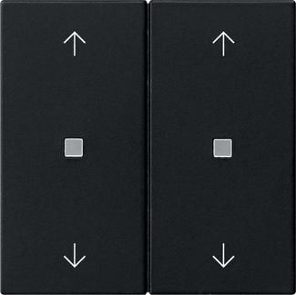 Gira 5386005 2f arrows control f. Sys 55 sw with rocker
