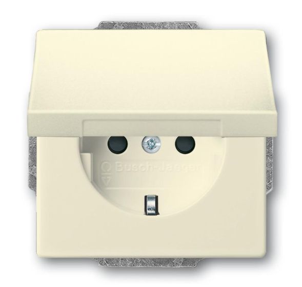 Busch-Jaeger 20 EUKB-82 SCHUKO® socket insert, with hinged cover ivory white