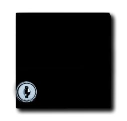 Busch-Jaeger 2118 GKSLN-35 intermediate ring with hinged lid, lockable, different locking anthracite